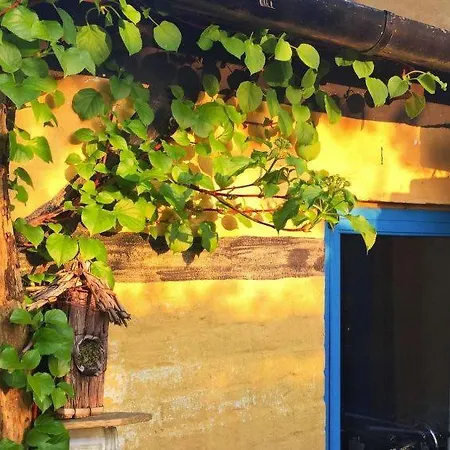 Sleeps 14 Wifi Brandsbol